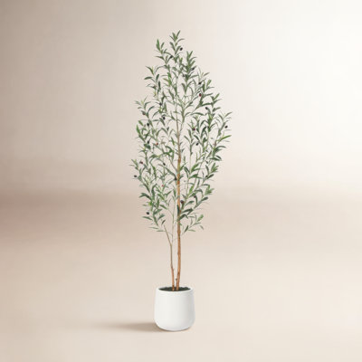 Adcock Artificial Olive Tree with Natural Wood Trunk in White Planter