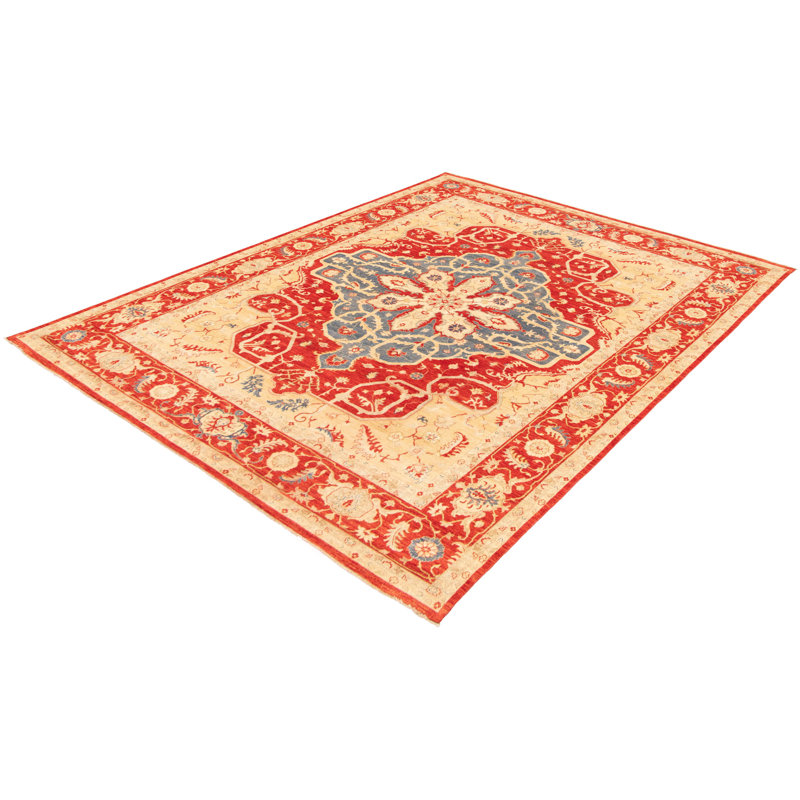 Tapis unique en laine noué à la main 11 pi 9 po x 15 pi 7 po nouvel âge Aryana - rouge / beige / bleu