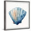Scallop Shell by Marmont Hill - Single Picture Frame Painting-2103891924