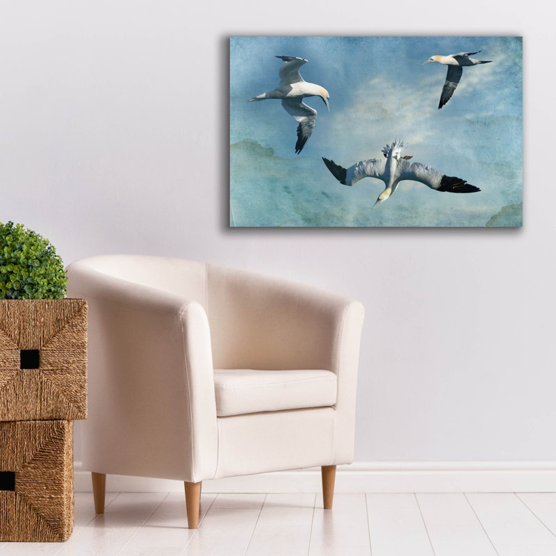 «Gannets Trio» par Carlos Casamayor, art mural sur toile, H 26 po x l 40 po x P 1,5 po