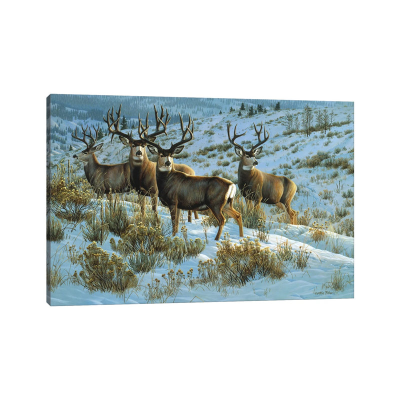 Impression sur toile tendue "Mledeer" par Cynthie Fisher, H 18 po x l 26 po x P 1,5 po