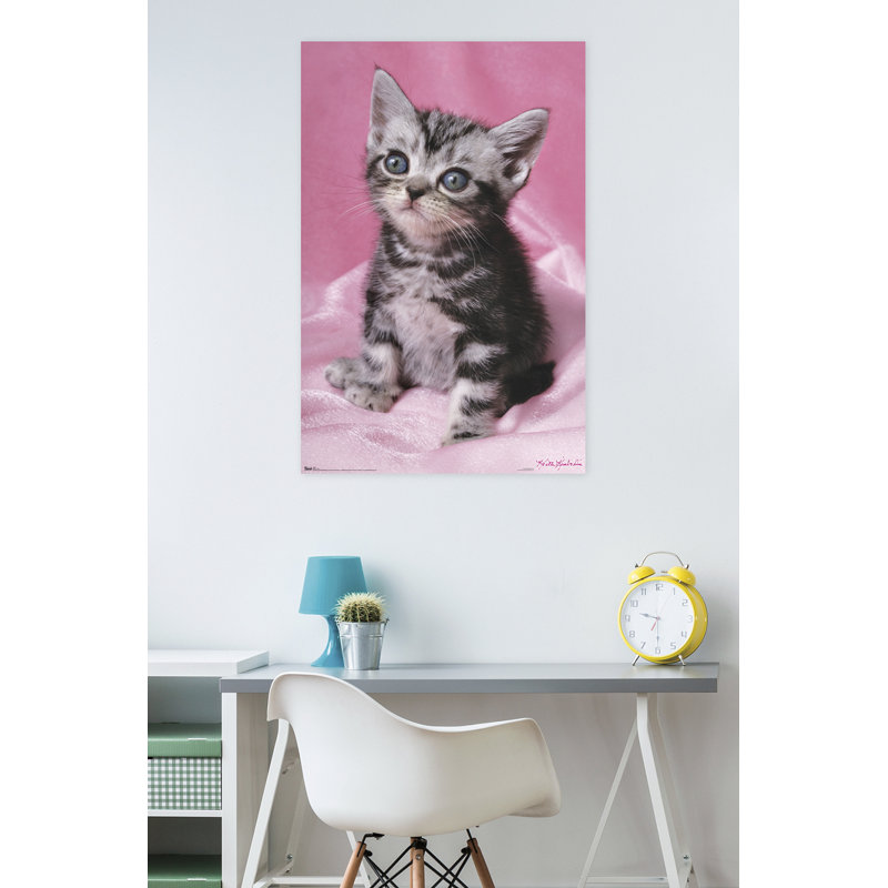 Impression sur papier chat-jolie