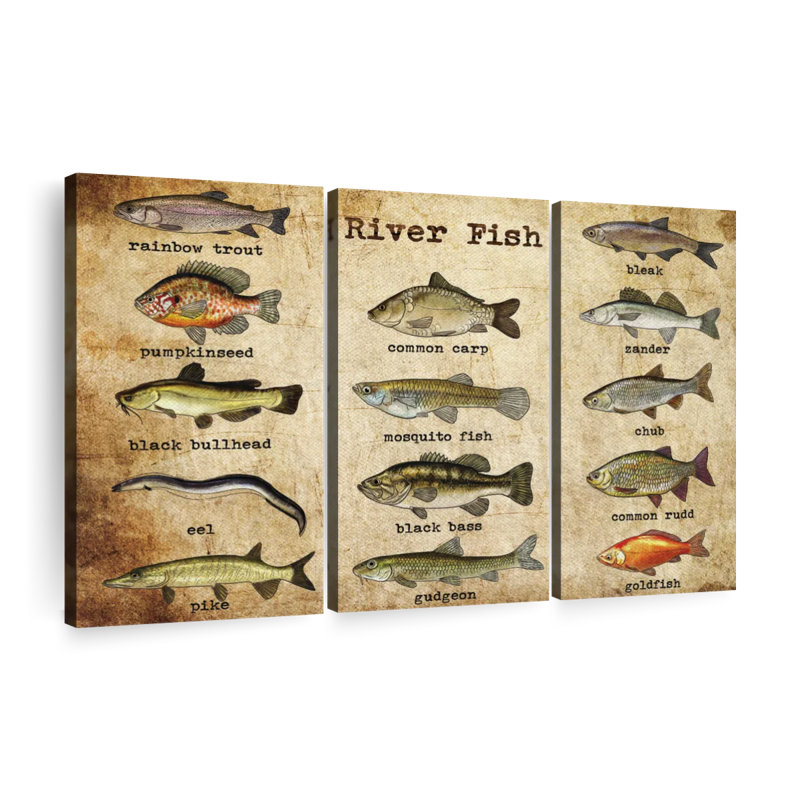 River River Guide Guide, ensemble de 3 pièces sur toile, H 24 po x l 38 po x P 1,25 po