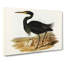Sombre Egret by Elizabeth Gould - Wrapped Canvas-55318239