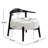 Modern Living Room Chairs