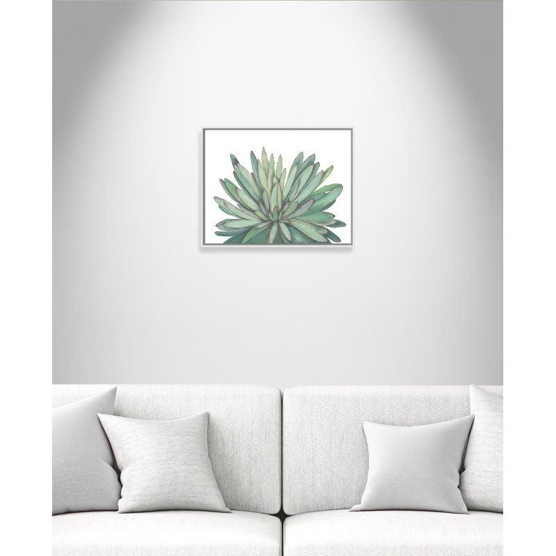 «Succulent - Floater Frame», reproduction d'art sur toile, H 22 po x l 28 po x P 2 po, Cadre blanc