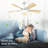 Ayan 46" W Dimmable LED Ceiling Fan-106907617