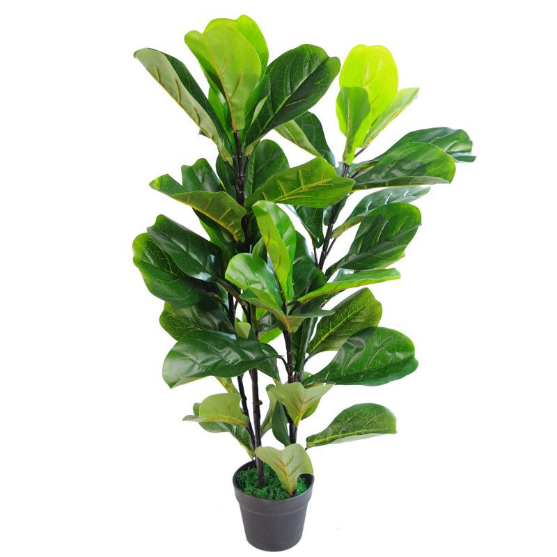 Anivea 90cm Faux Ficus Tree in Pot
