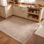 Tapis traditionnel à motif floral intégral gris crème ivoire beige rose, lavable à la machine, antidérapant, à poils courts, adapté à l'intérieur et à l'extérieur, idéal pour le salon, la chambre, la salle à manger, l'entrée, le corridor ou le bureau.-1155237369