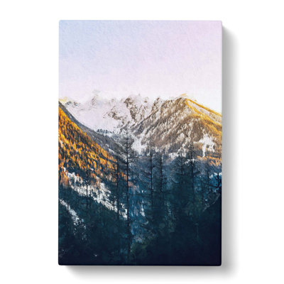 Tall Trees - Wrapped Canvas