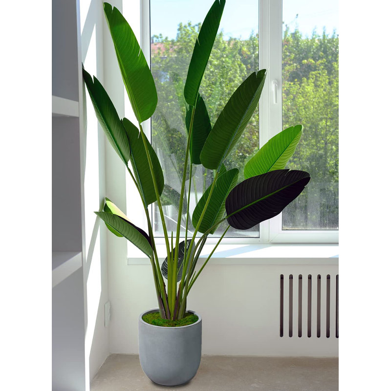 Cache-pot en résine Jaleigh, H 20,75 po x l 21,75 po x P 21,75 po