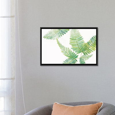 « ferns ii », reproduction d’art sur toile tendue