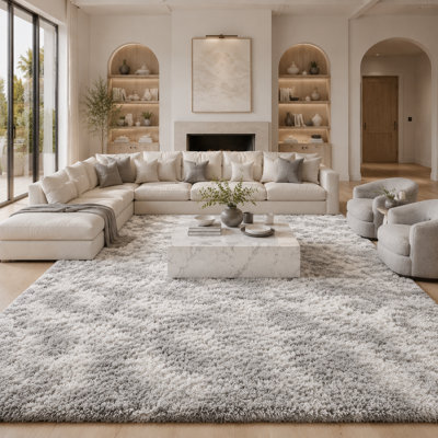 5x7 Ft Tie-Dyed Light Gray Large Shag Rugs for Bedroom Living Room Decor Soft Fluffy Furry Area Rug for Indoor Floor, Aesthetic Carpet for Home Decor