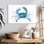 Crabe bleu Brampt-107845289