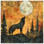 Couvertures loup-125324922