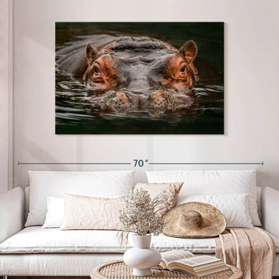 Hippopotame submergé Brampt