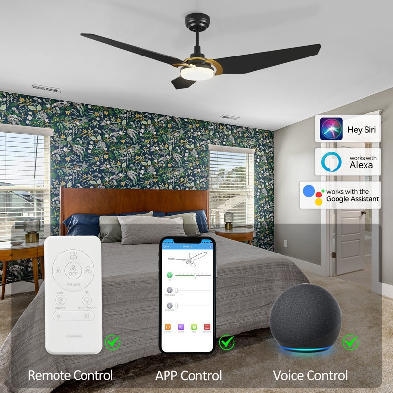56'' Ceiling Fan with LED Lights, Black, Black