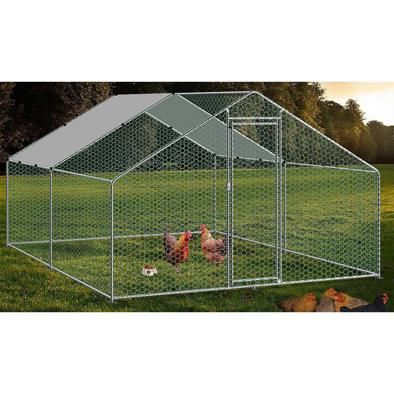 Enedino Chicken Run, 78.74" H x 118.11" W x 78.74" D