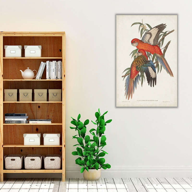 «Tropical Parrots I», reproduction d'art sur toile, H 60 po x l 40 po