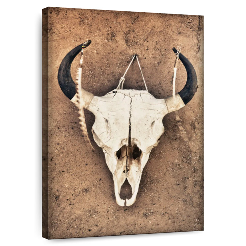 Kerner Cattle Skull, 36" H x 24" W