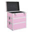 Biren Metal Makeup Organiser