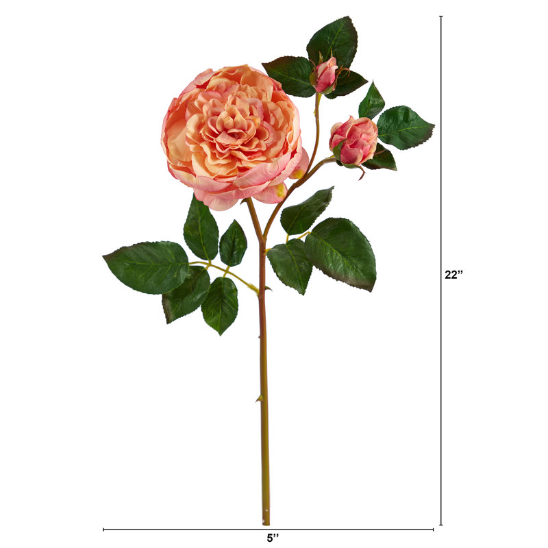 Tige de roses, Mauve/crème