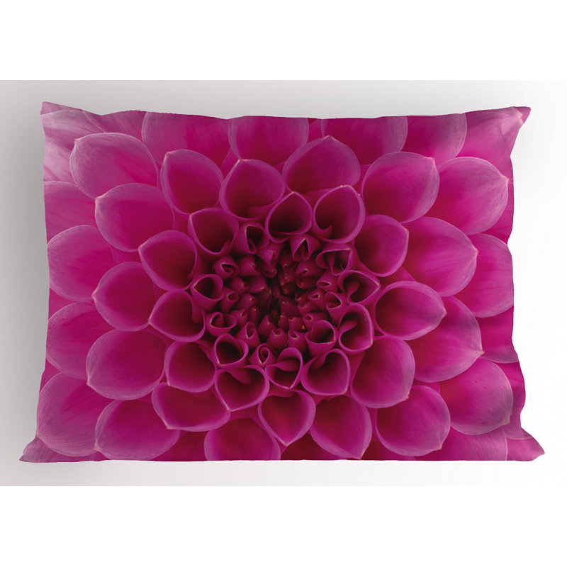 Polyester Floral Sham Set, Twin