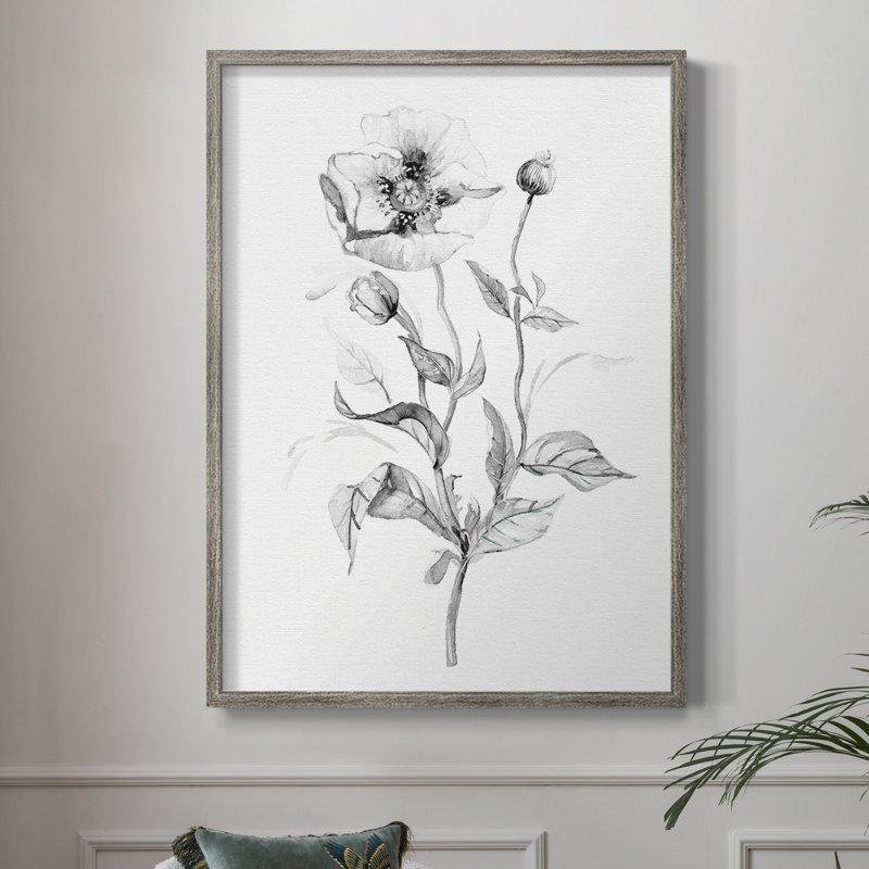 «Wild Poppy S Croquis», reproduction encadrée - bois massif 47964, H 11 po x l 9 po