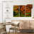 Harnek Mossy Japanese Maple-108174795