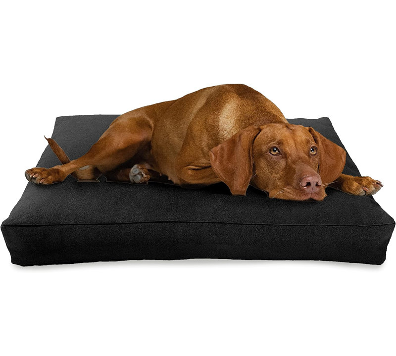 Lit pour chien Premium Premium, Très large, Chanvre noir
