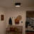 Serca Flush Mount-480086067