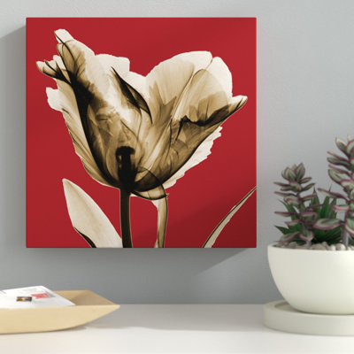 Red Luster Tulip_H30 1 Piece Wrapped Canvas Wall Art