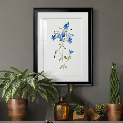«Blue Blossom Botanical II» - peinture encadrée