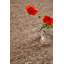 Sober Hand Woven Wool Area Rug-399475057-399475058