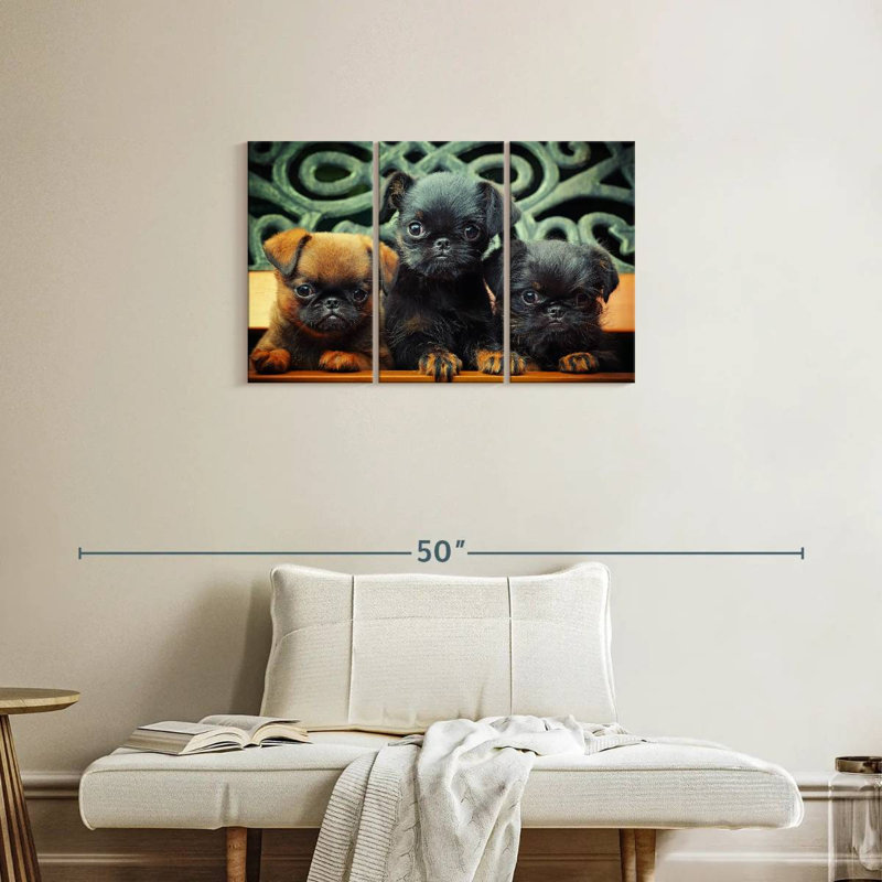 Griffon Puppies, 20" H x 33" W