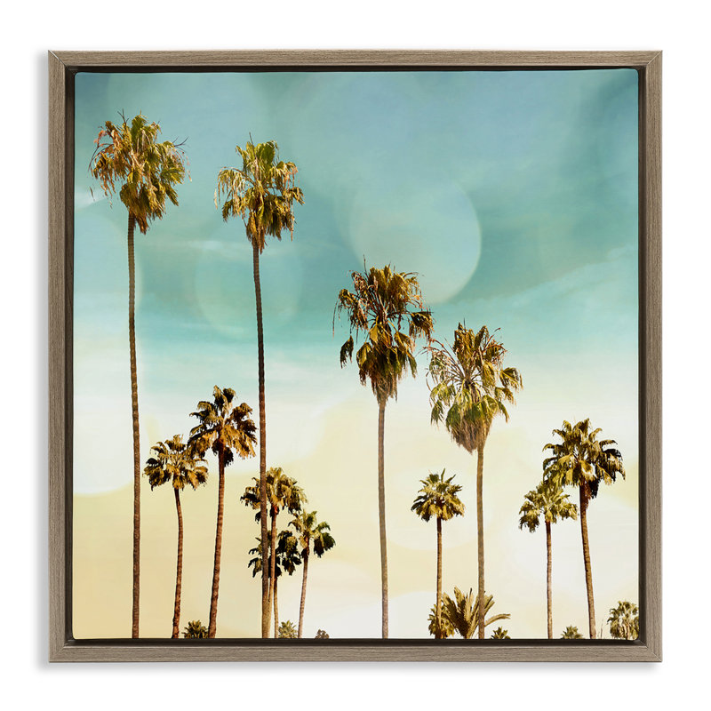 «Palm Tree Beach Sky», art mural sur toile flottante par Devon Davis, Cadre flottant orme Montalcino, H 25 po x l 25 po