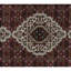 Oriental Area Rug