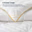 Insertion de couette / couette en plumes et duvet toutes saisons Hotel Quality-2025818357