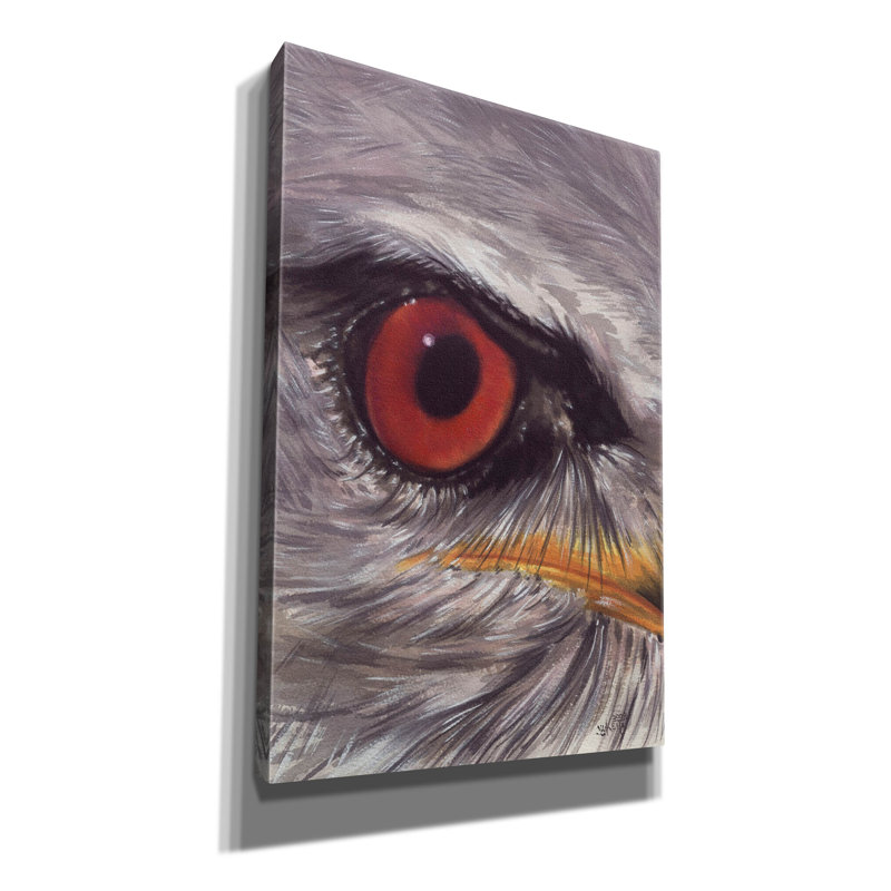 'Eye Catching Kite' by Barbara Keith, Canvas Wall Art, 60" H x 40" W x 1.5" D