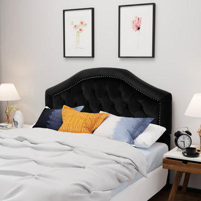 Tête de lit à boutons avec grand lit en velours noir, ajoutant de l'élégance au velours de chambre à coucher contemporain avec saveur et capitonnage
