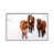 White Framed
