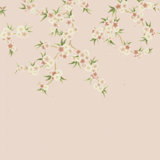 Rosa Wallpaper