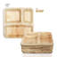 Assiettes à dîner jetables carrées à 3 compartiments (10 po)