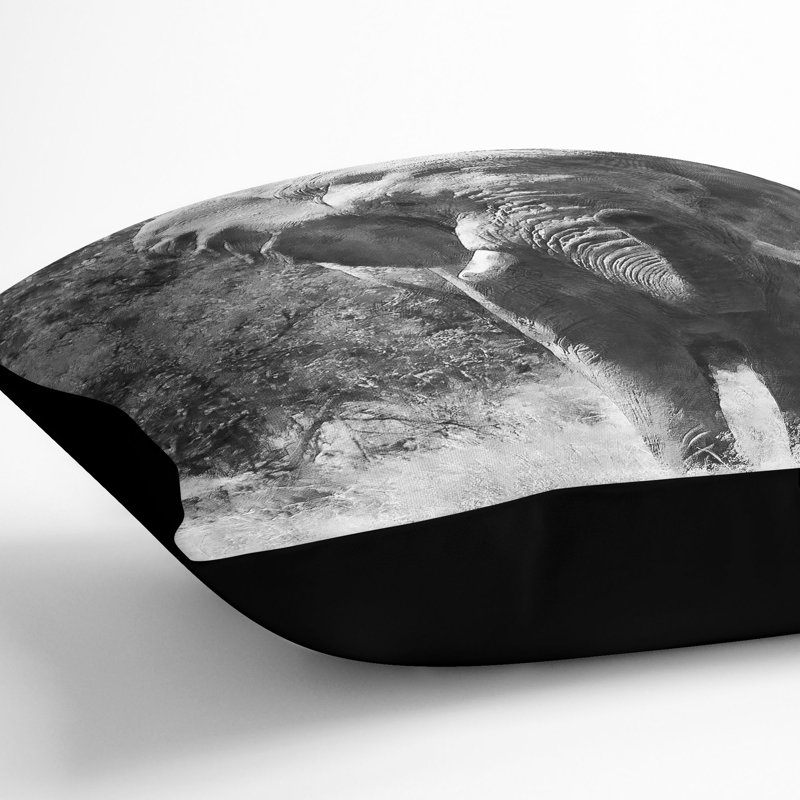 Square Throw Cushion, 40cm H x 40cm W x 15cm D, Black