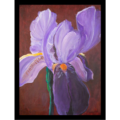 " Glorious Iris Poster " by Elizabeth Stack