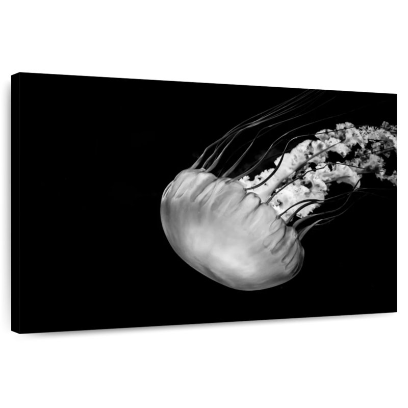Brampt Underwater Jellyfish, 30" H x 45" W