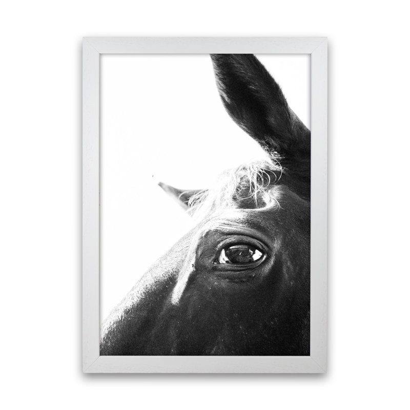 Eye Of The Beholder by Victoria Frost - Print, White Framed, 63cm H x 46cm W x 3cm D