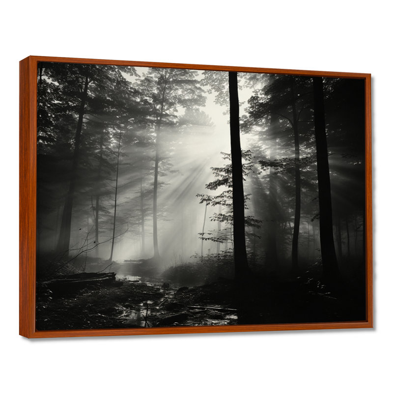«Black and White Forest Silence», photographie encadrée, 34" H x 44" W, Cadre flottant brun