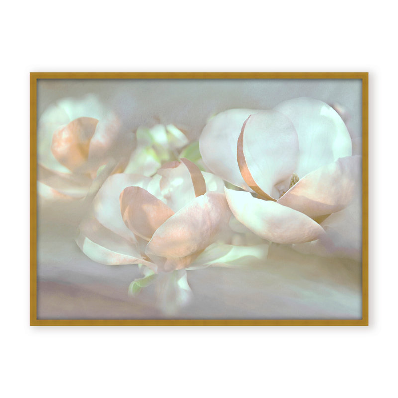 Nature Inspired Magnolia Dreams, 24" H x 30" W x 1.125" D, Framed Matted Print, White