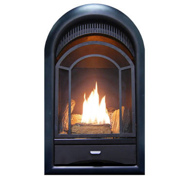 ProCom 36.38'' W Ventless Fireplace Insert | Wayfair